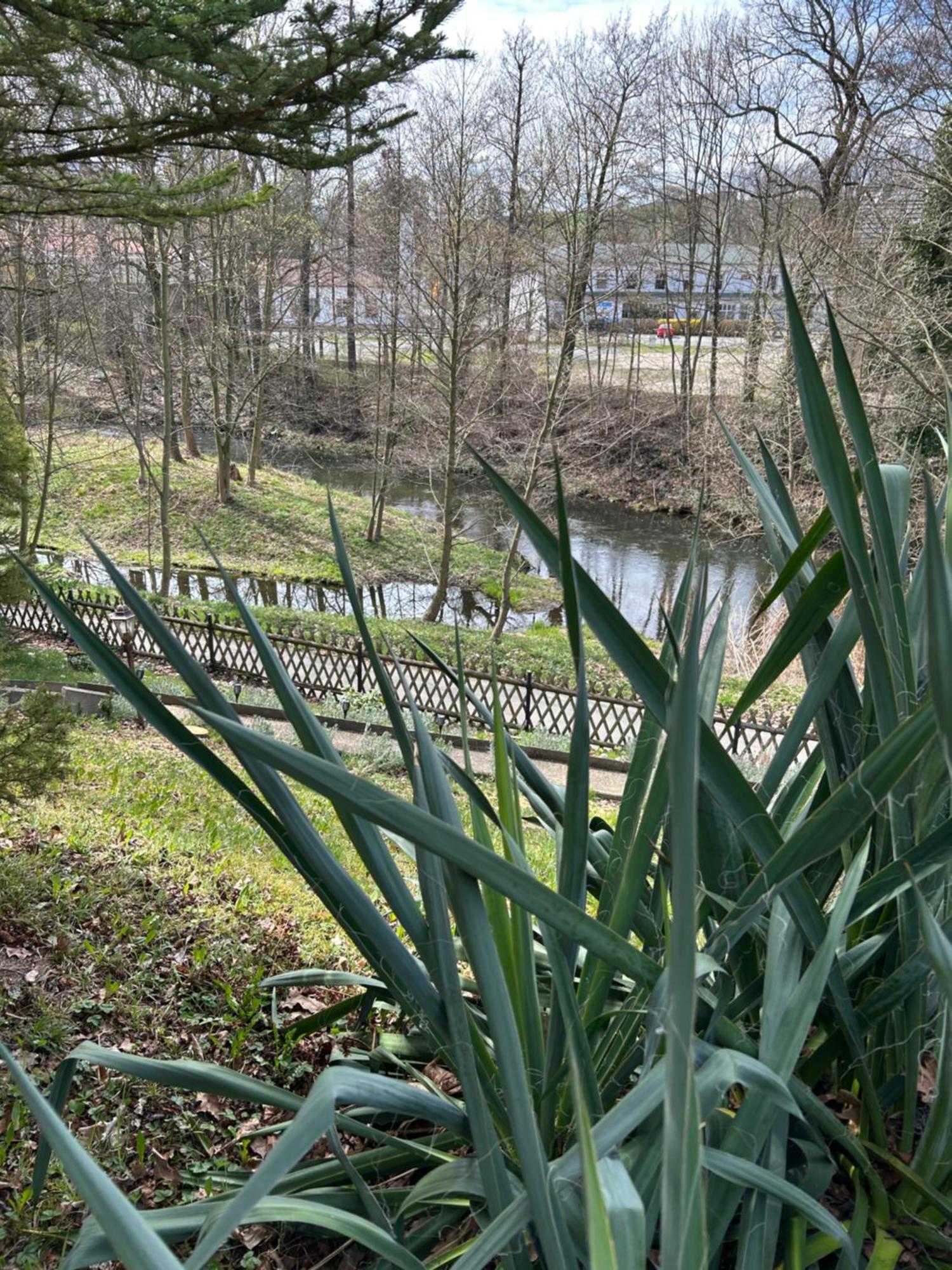 Ferienhaus Lavendel Obergurig Zewnętrze zdjęcie